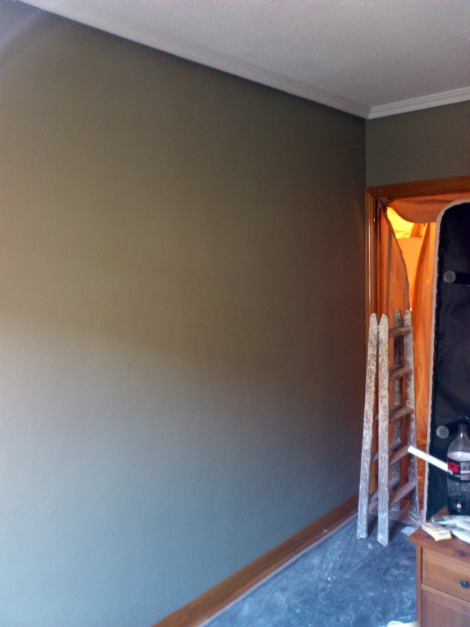 pintura de chalet de alcala de henares