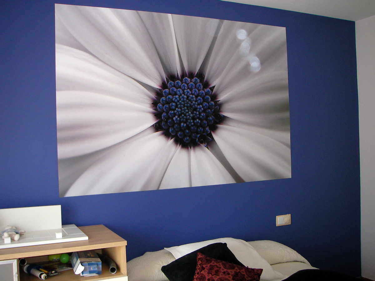 Pintura habitación invitados