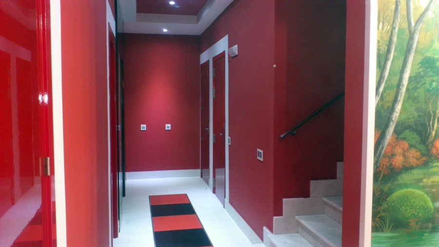 Pintura plástica lisa