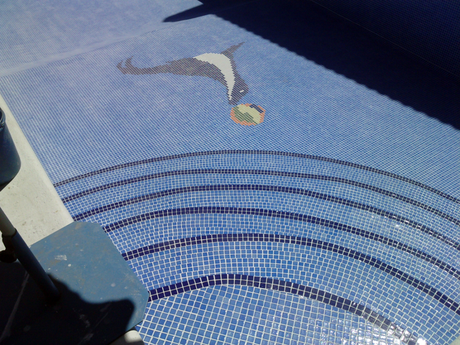 piscina azul niebla,con foca y ecaleras romanas