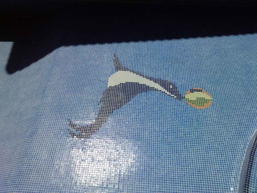 piscina azul niebla,con foca y ecaleras romanas