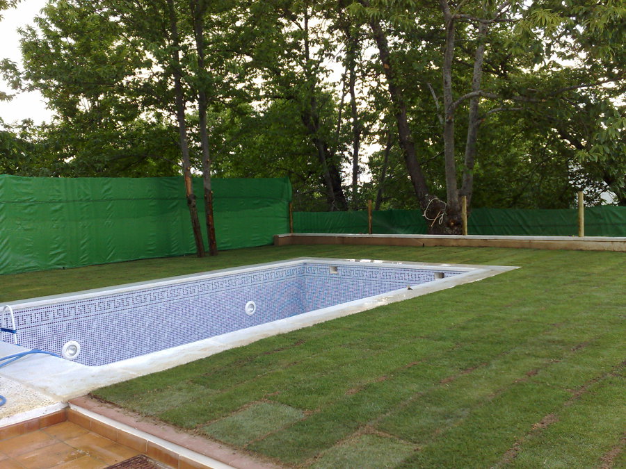 piscina con cesped