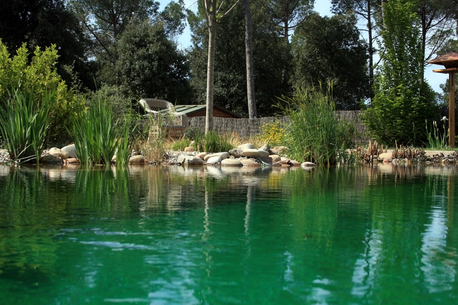 Piscina naturalizada Barcelona