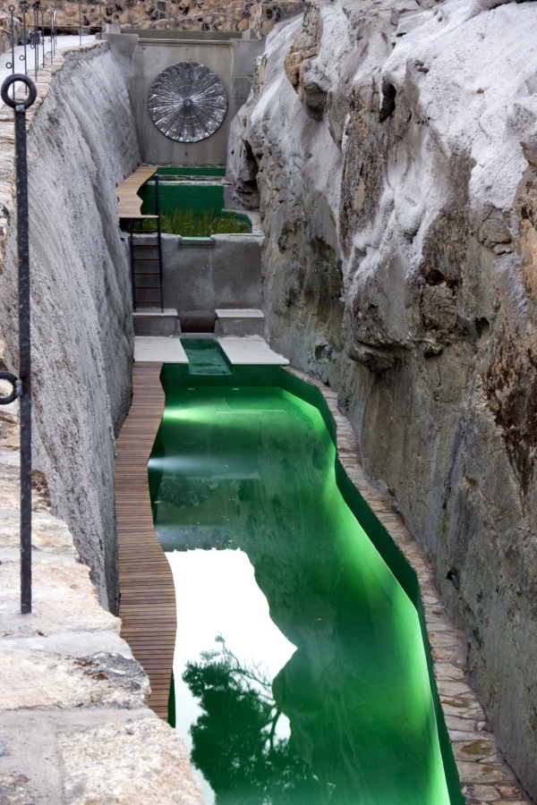 Piscina naturalizada Madrid