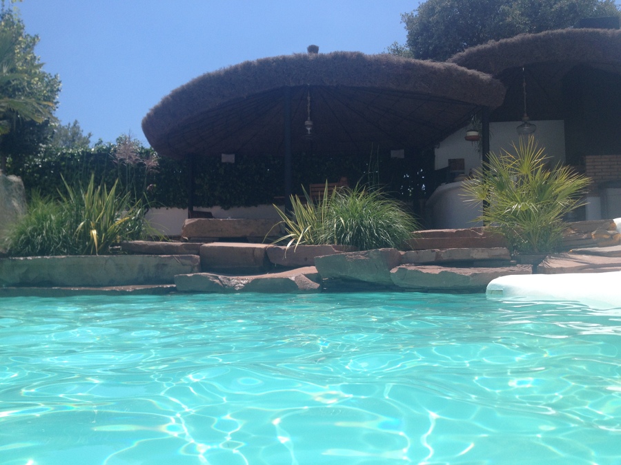 Piscina, pérgola y jardín domicilio particular