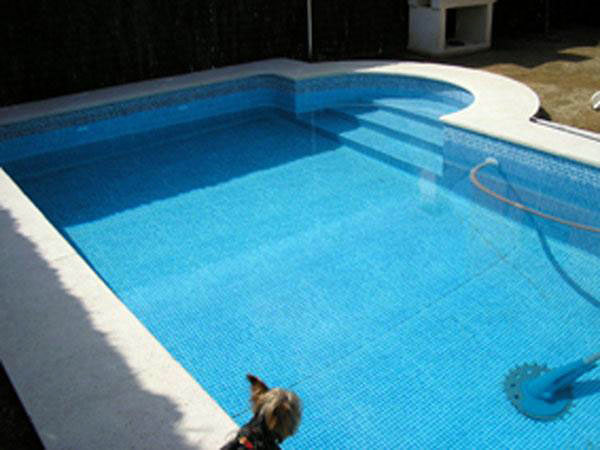Piscina Pool Design