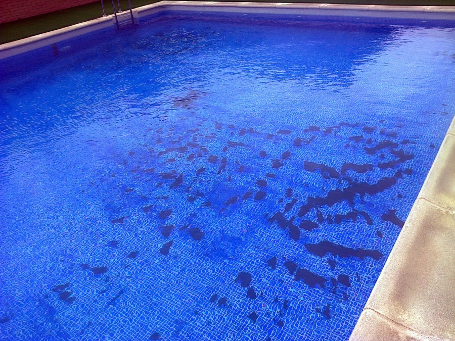 piscina sucia comunidad