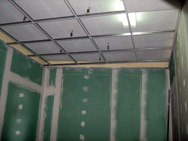 Pladu impregnado y techo de guia.