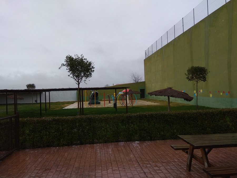 Plantación de arbolado