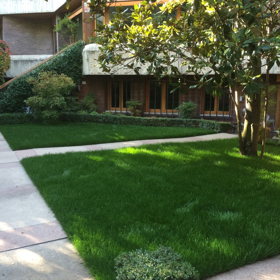 TEPE (2 SEMANAS DESPUES)