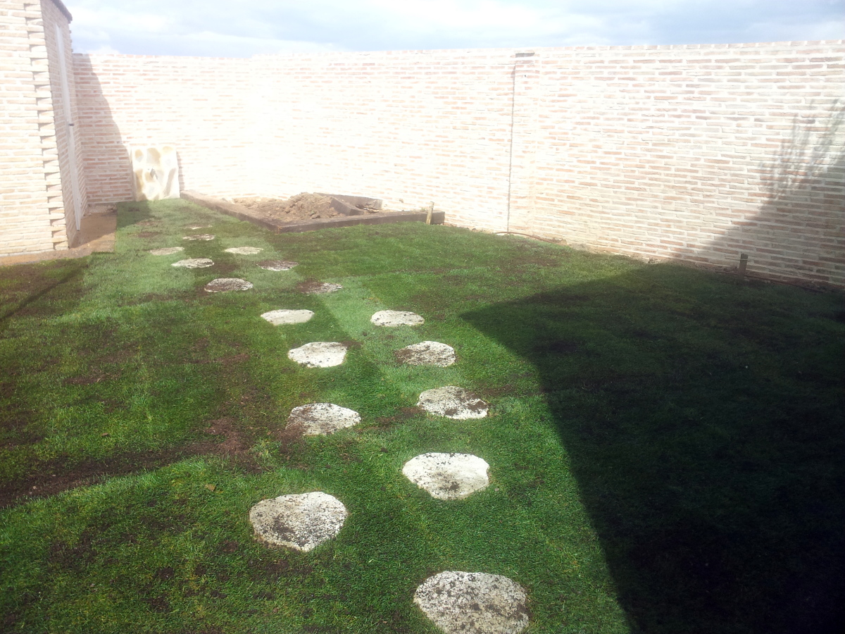 Plantacion de tepe en Illescas