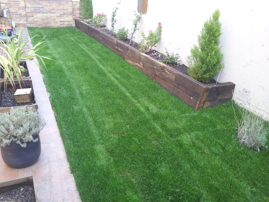 Plantación de tepe y paisajismo