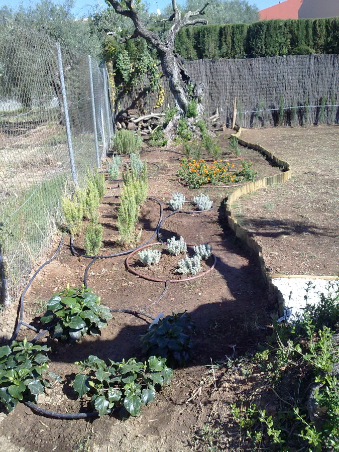 PLANTACION Y DECORACION