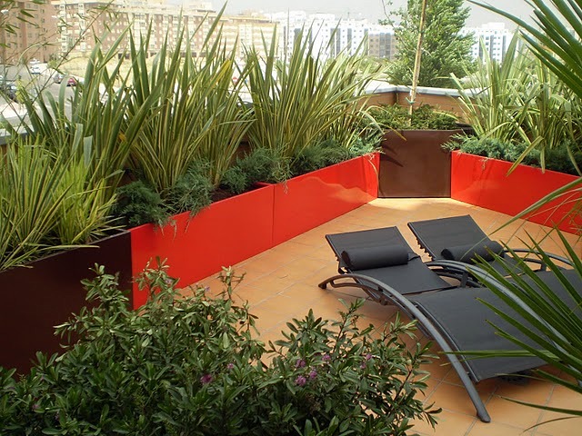 Plantas en terraza