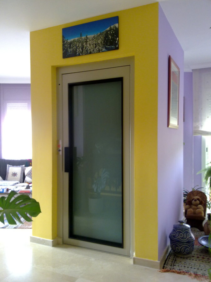 PLATAFORMA ELEVADORA VERTICAL