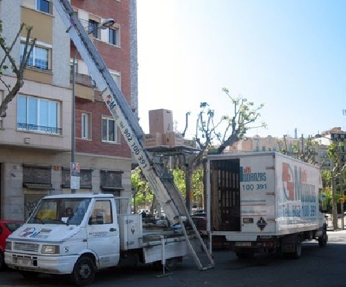 Plataforma elevadora