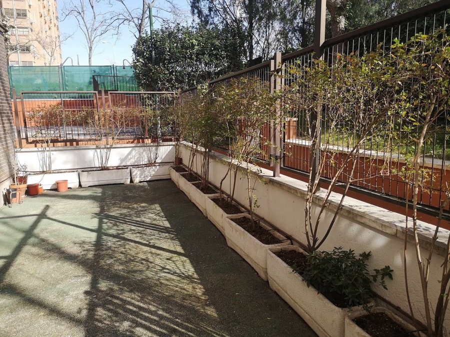 PODA DE SETOS Y LIMPIEZA DE JARDINERAS