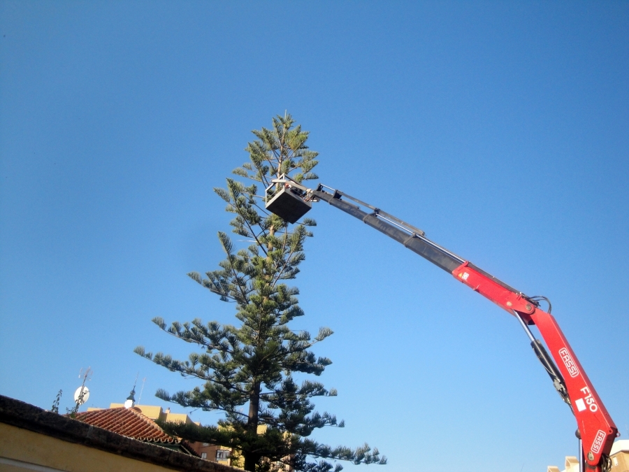 Poda por medios mecanicos