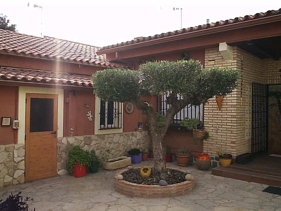 poda topiaria  de olivo.