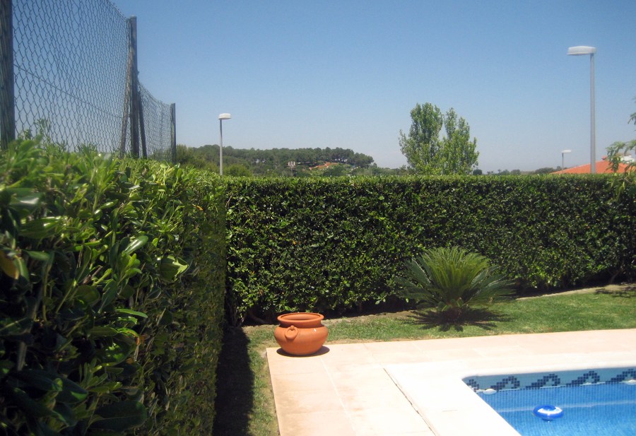 PODA Y MANTENIMIENTO DE SETOS