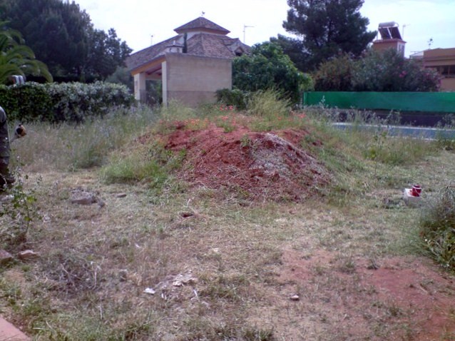 Pradera de cesped con semilla-1