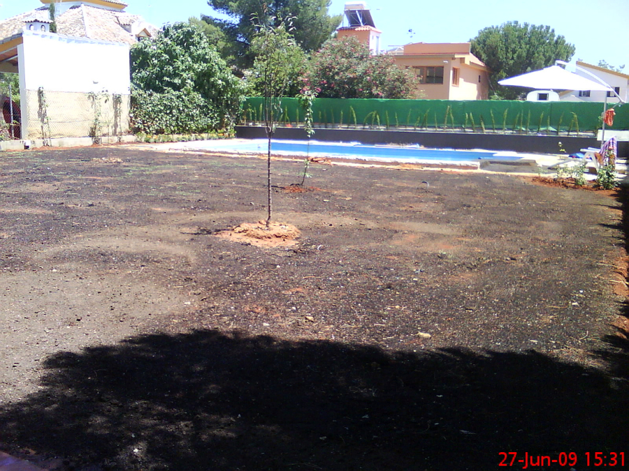 Pradera de cesped con semilla-2