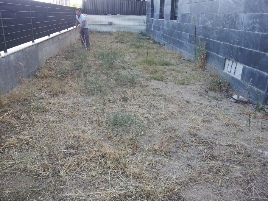 Preparación del terreno