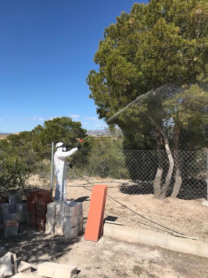 Tratamiento fitosanitario.