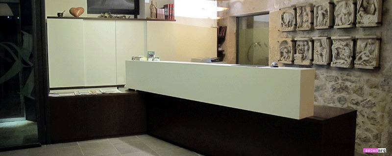 Projecte, disseny i realització de la recepció i llocs de treball Hotel Llegendes de Girona****