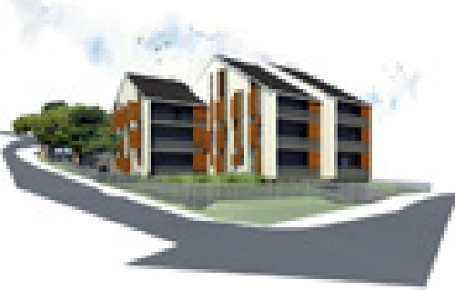 Promoción y Project Management