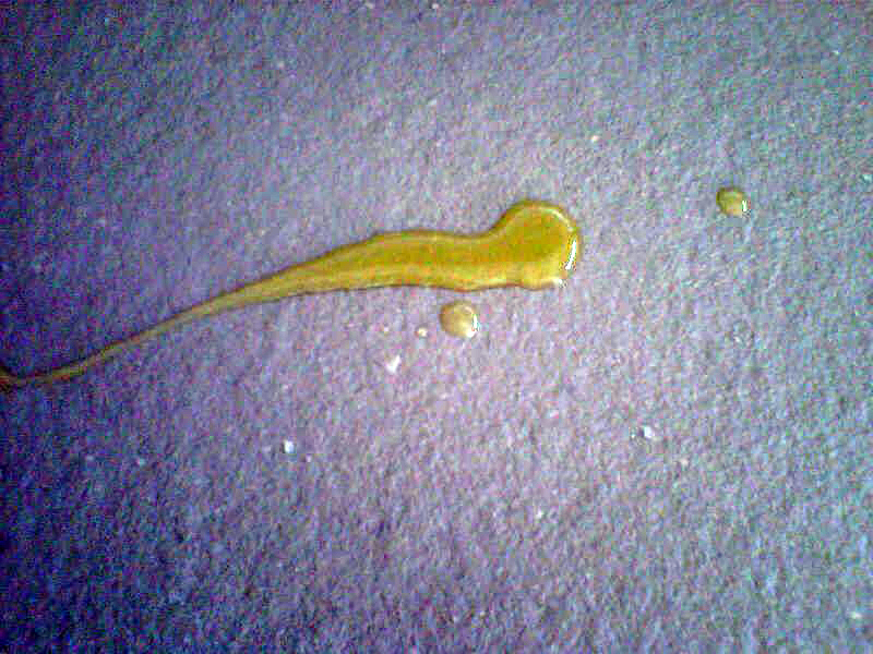 Protección hidrofobizante basada en nanopartículas