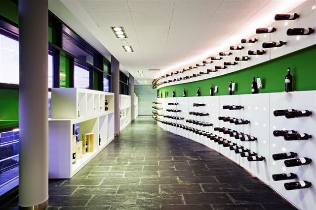 Proyecto Bodegas Prado Rey