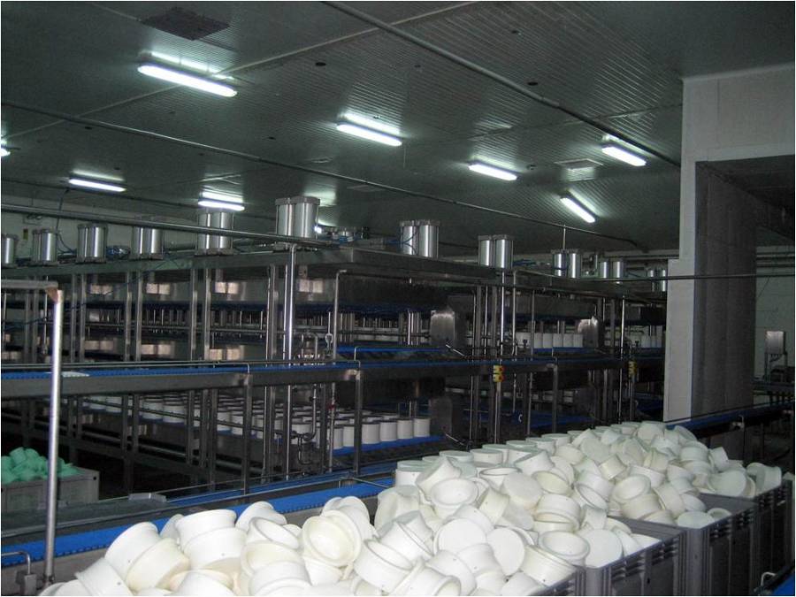 Proyecto de quesería