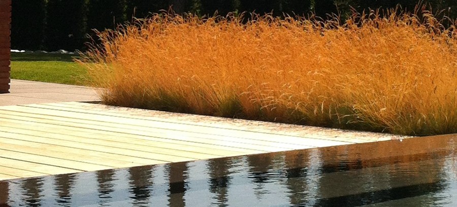 Proyecto paisajismo en el Empordà 3