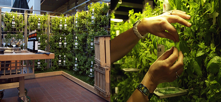JARDIN VERTICAL AIR GARDEN | BACARDI LONDRES UK