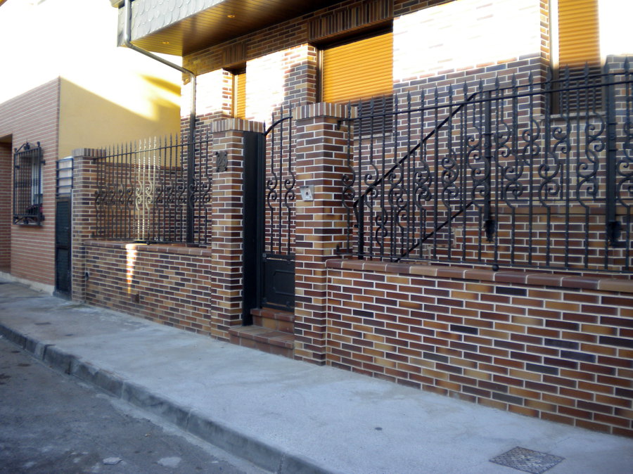 Puerta y vallas de entrada