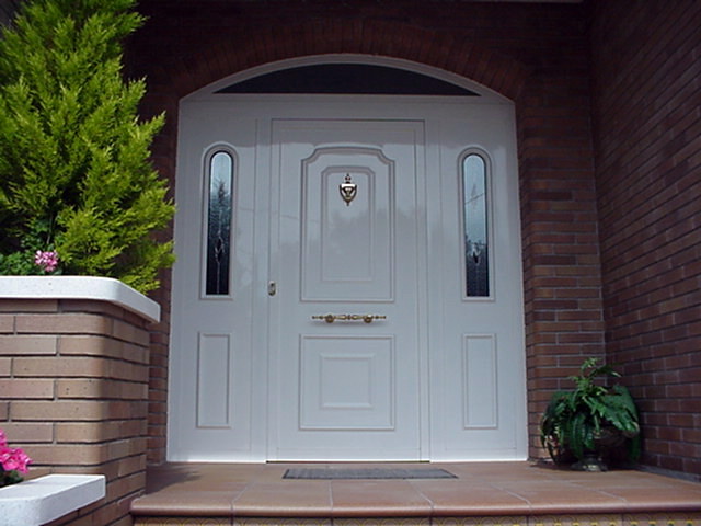 PUERTAS ENTRADA DE VIVIENDAS 