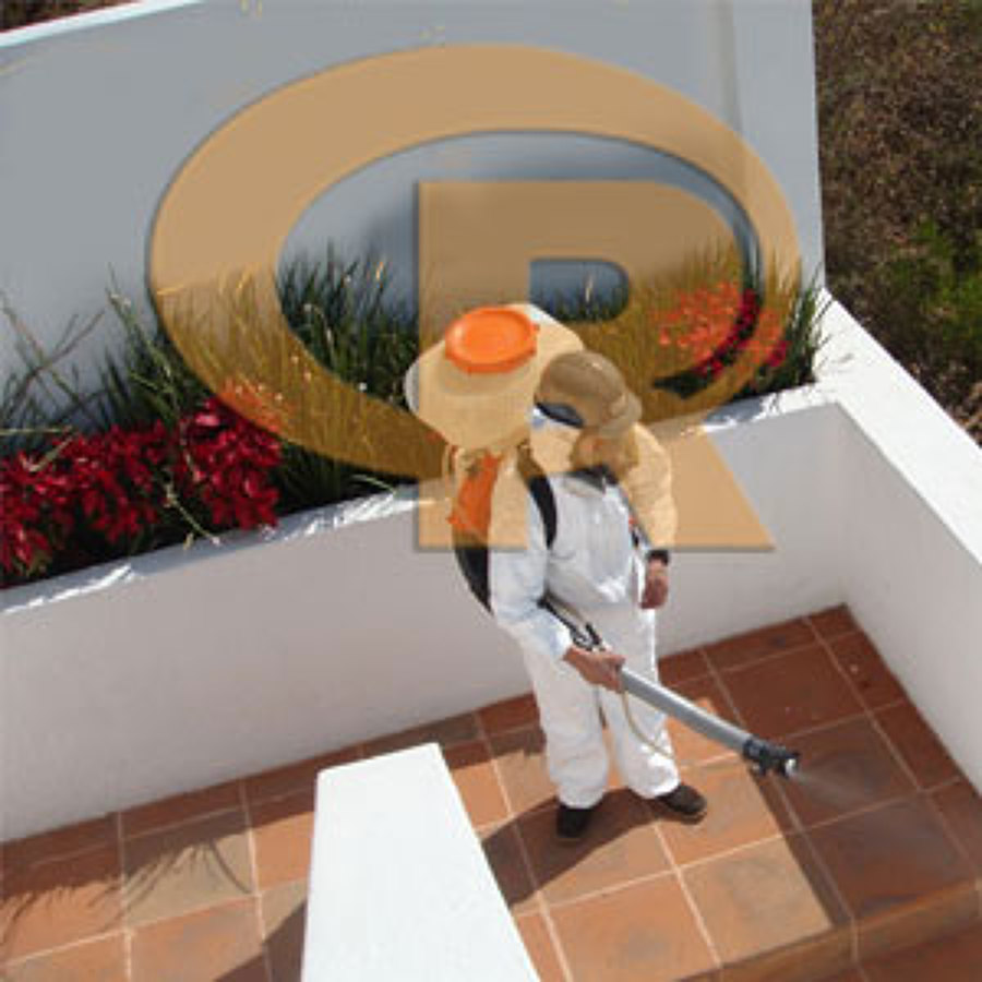 Radica Control de Plagas