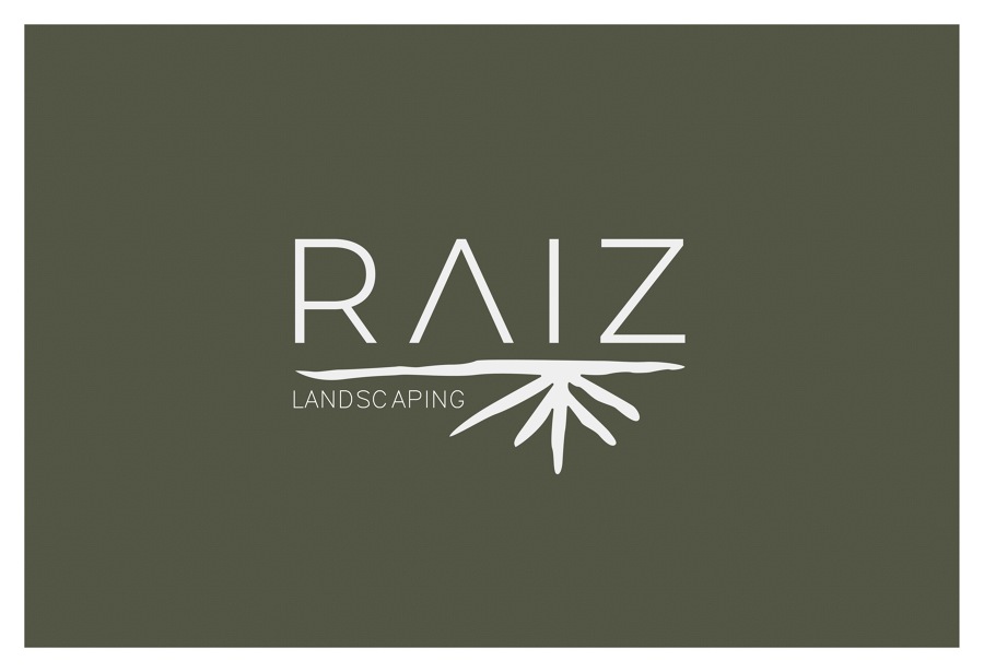 RAIZ logo