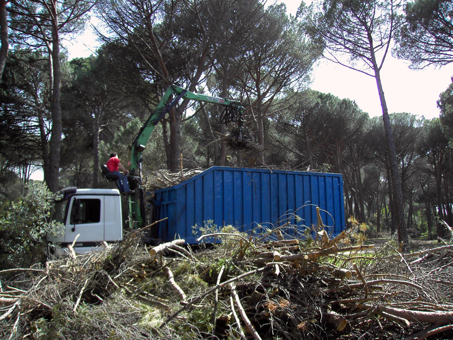 RECOGIDA DE RESTOS DE PODA