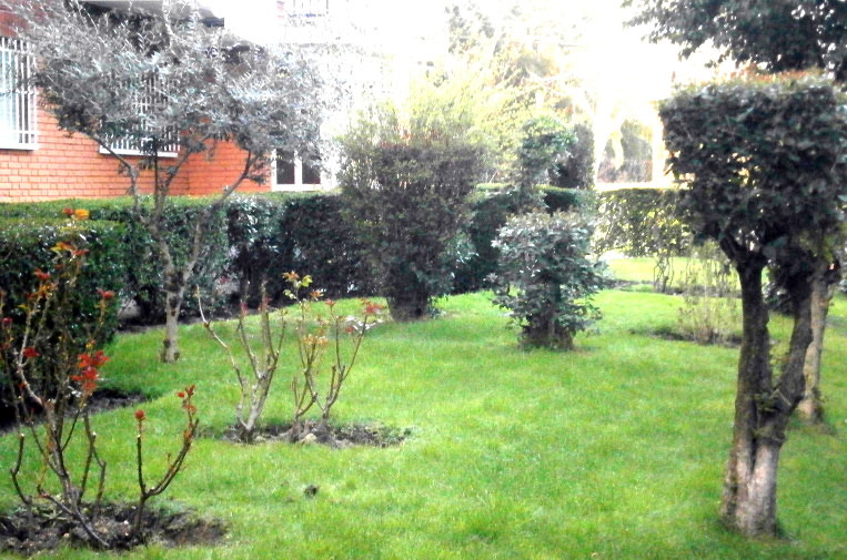 Reconstrucción y Mantenimiento