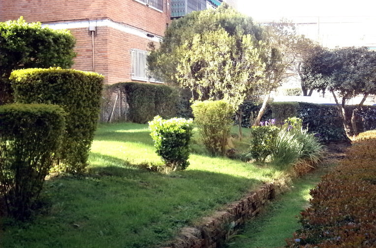 Recortes de Arbustos