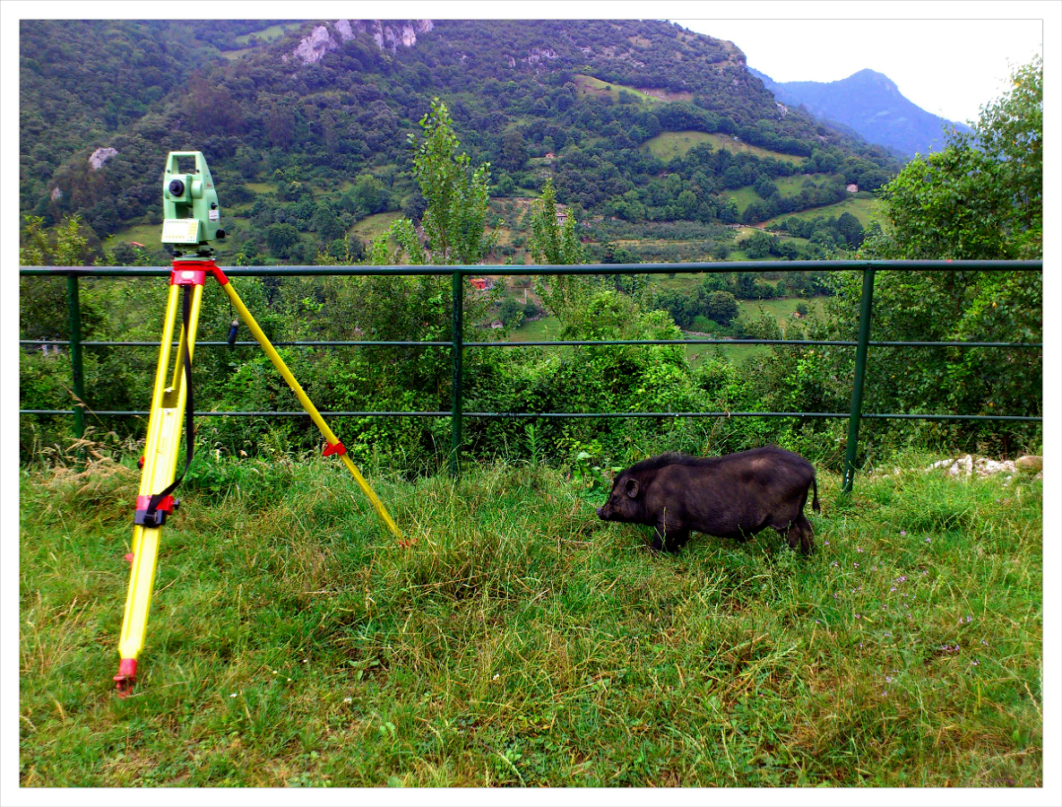 Rectificación de datos catastrales y registrales