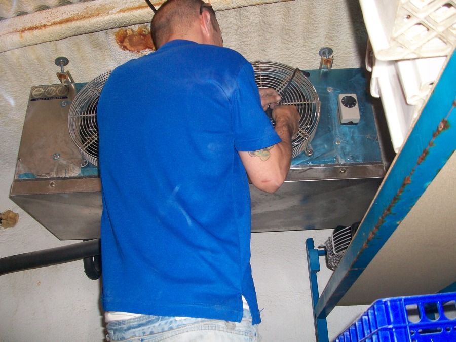 REFORMA CAMARAS FRIGORIFICAS