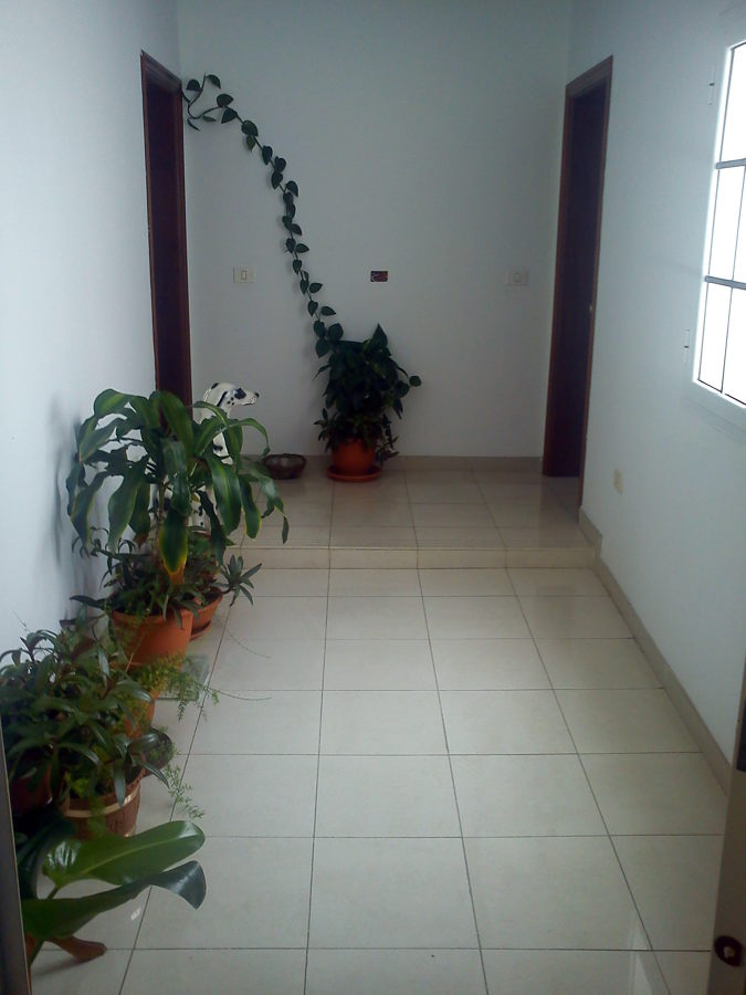 Reforma comunidad vecinos