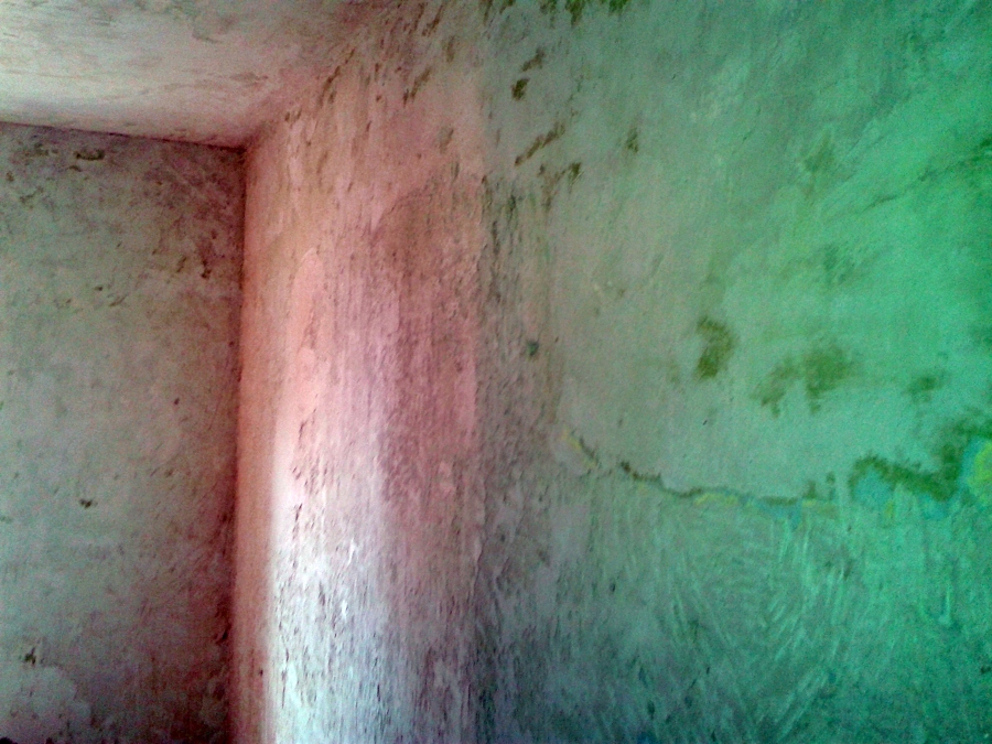 Reforma corejidor san francisco de lujan nº 37