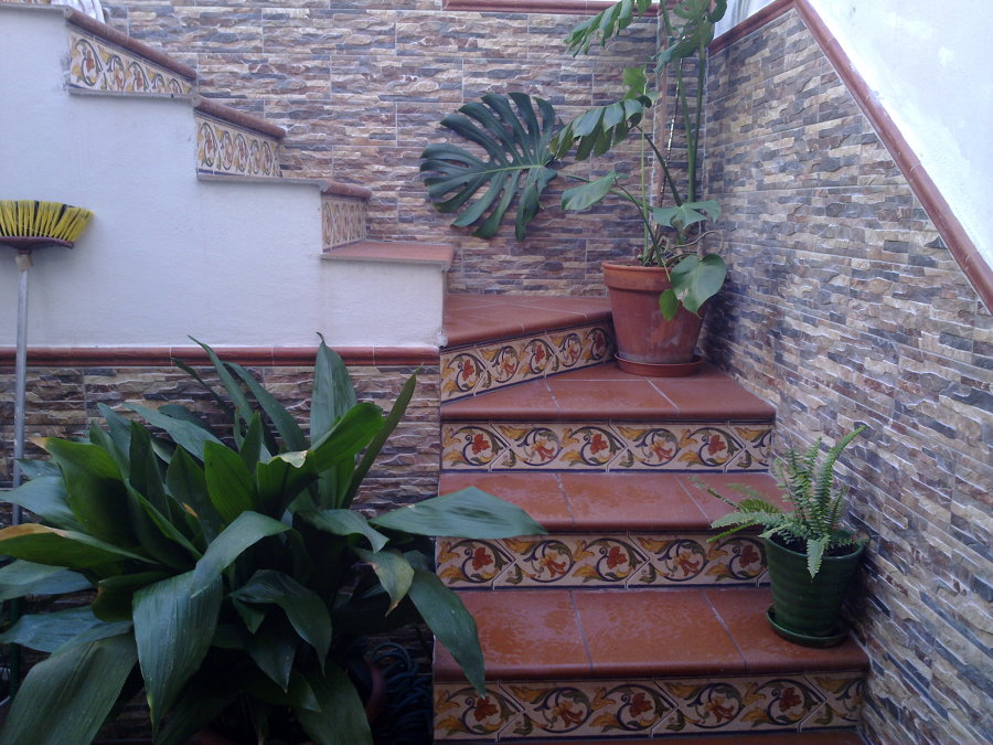 REFORMA EN VV. EN CAMPANILLAS