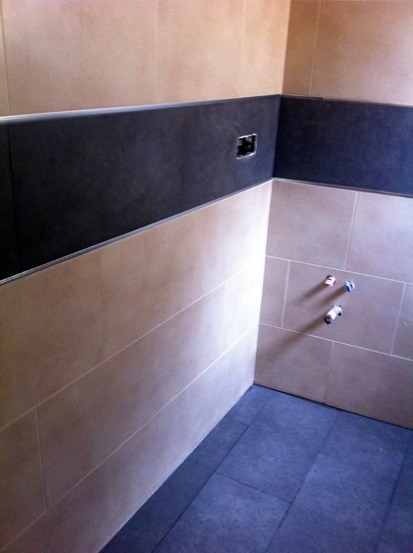 Reforma integral aseo.