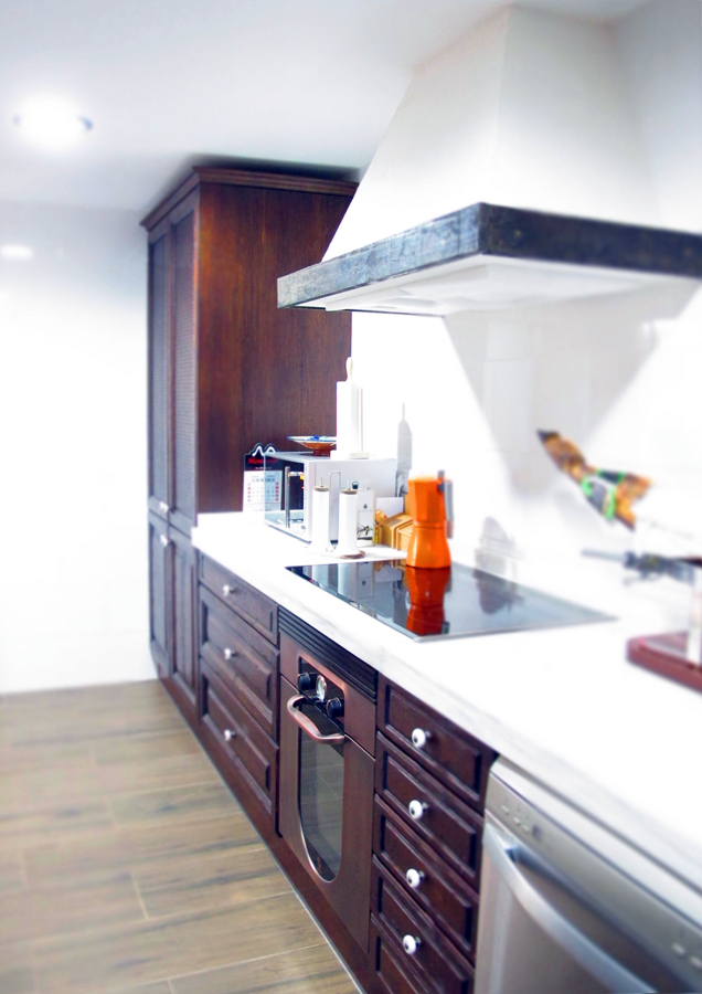 Reforma integral Chalet Sierra Madrid