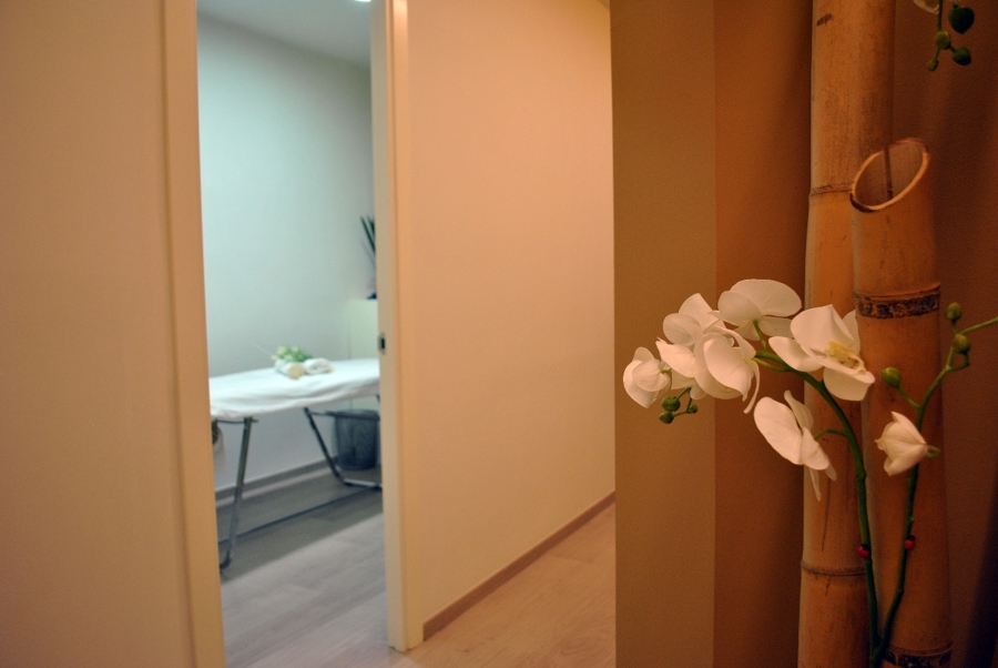 Reforma Integral Local. Centro de Estética ( TGN )